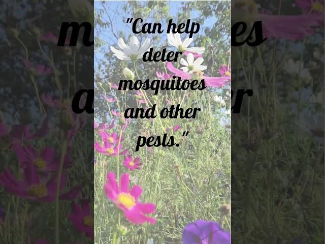 Garden Facts You Need to Know | Learn & Grow with Me! #shorts