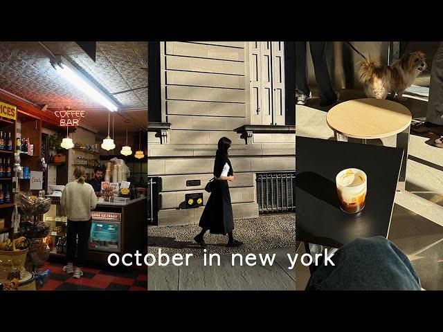 NY Vlog — NYC Fall.. Historic coffee shop, Korean comfort food, Halloween dog parade, cute shops