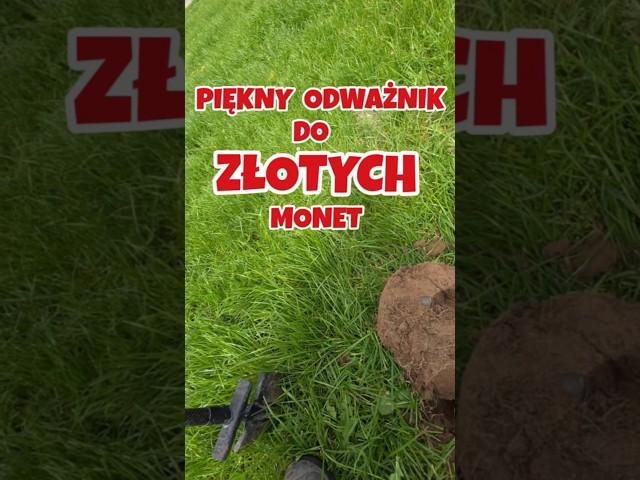 Odważnik do złotych hiszpańskich monet 1709 Anne. Coin-weight for a pistole of Spain, 1709.#deus