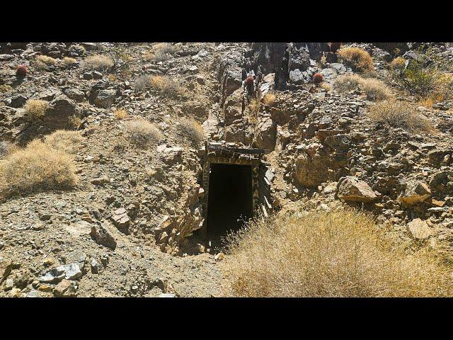 They Closed the Gold Mine — But Missed This Hidden Entrance