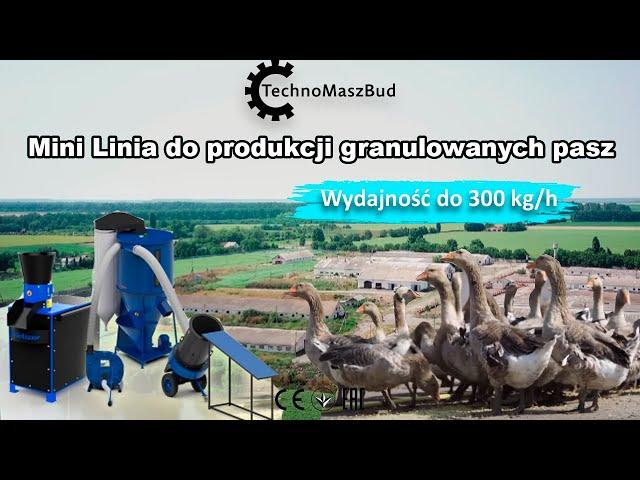 Mini Linia do produkcji granulowanych pasz | Wydajność do 300 kg/h