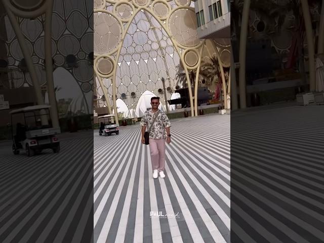 2024 Recap ️#dubai #india #travel #paularoid #paulkeerikkadan #happyvibes #dubailife #dubaicity
