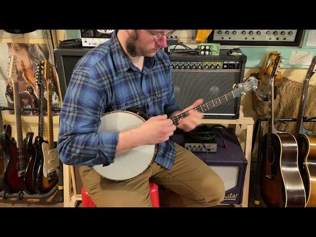 1920s Stella (Oscar Schmidt) resonator tenor banjo