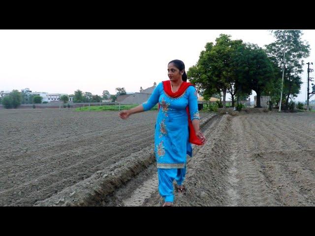 Pind te khet,.. Indian rural life of Punjab.. village life