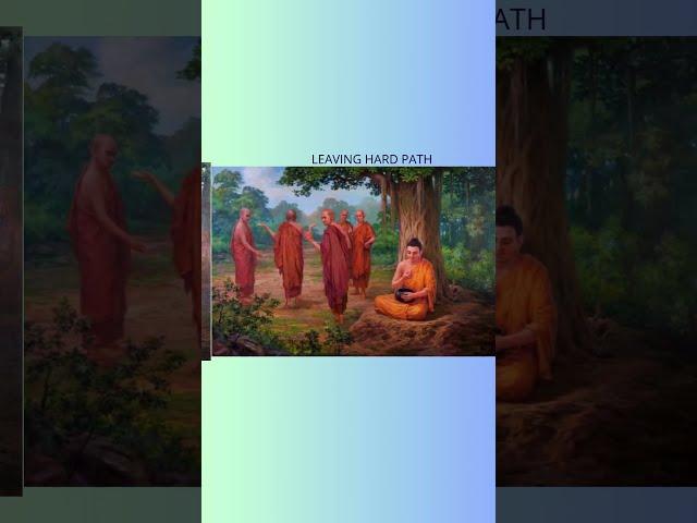 The life journey of LORD BUDDHA #buddha #motivation #BUDDHISM #life