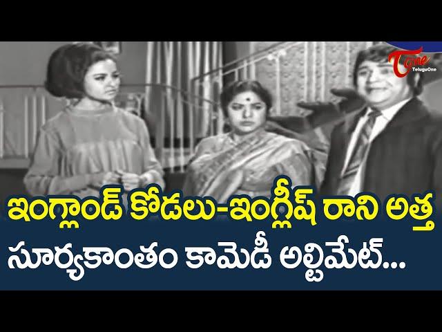 Suryakantham Telugu Movie Comedy Scenes Back To Back | TeluguOne