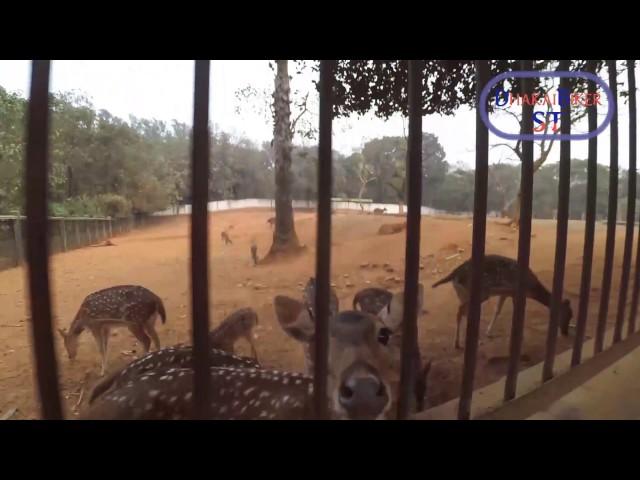 ST Travel Show: Episode 01 (Dhaka Zoo)