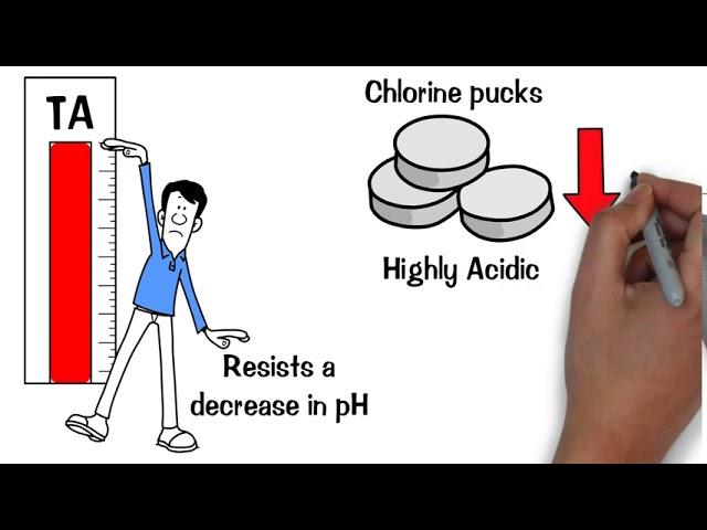 What are you thinking! The reasoning behind Trouble Free Pools Total Alkalinity Levels