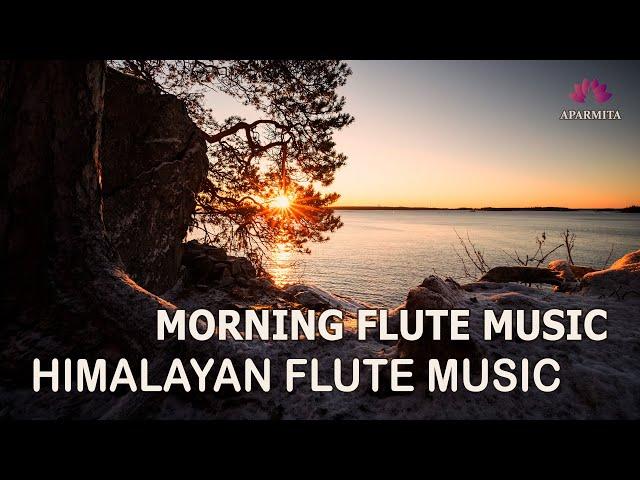 Morning Flute Music | Himalayan Flute Music | Meditation Music | (बाँसुरी) Aparmita Ep. 137