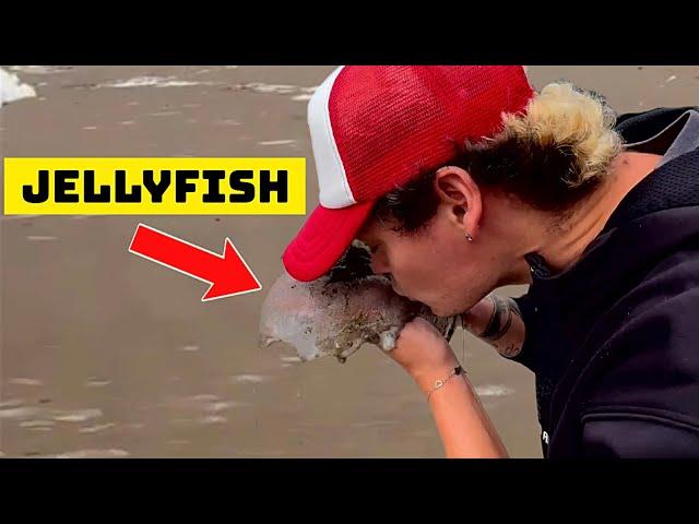 SATISFYING Rescuing Jellyfish & Smashing Foam!