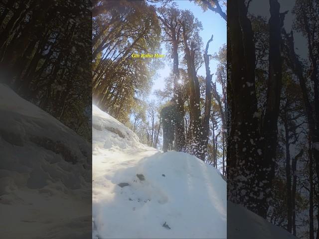 Snow in NagTibba | #uttarakhand #travel #winter #viralshort #viralshorts