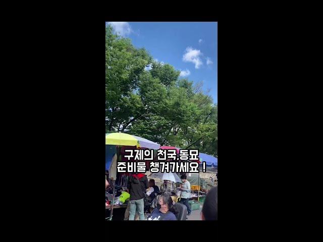 동묘 갈 때 편한 준비물들 꼭 챙겨가구주말에 동묘 가서 택 안 뗀 일자핏 청바지 5000원에 사왔는데 진짜 너무 마음에 들어ㅠㅠ 동묘 3번 출구 쪽에 있는 보물찾기 꼭 가봐ㅎㅎ