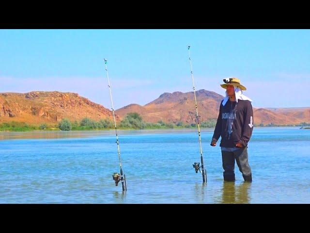 МОЯ ОДИНОЧНАЯ РЫБАЛКА НА РЕКЕ. MY SINGLE RIVER FISHING.