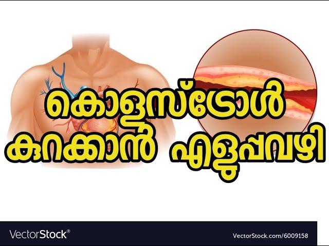 കൊളസ്‌ട്രോൾ എളുപ്പം നിയന്ത്രിക്കാം | Cholesterol Malayalam Health Tips