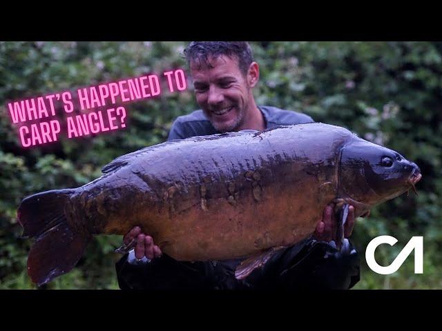 CARP FISHING | What's happened to Carp Angle?