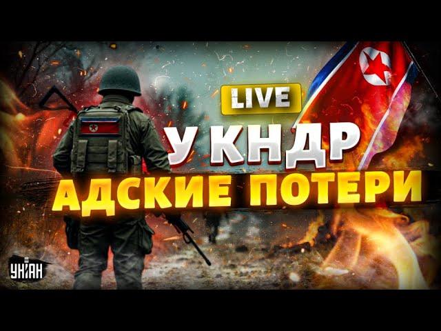 LIVE! У КНДР адские потери: видео первых боев с ВСУ. Корейцы В УЖАСЕ от украинских дронов