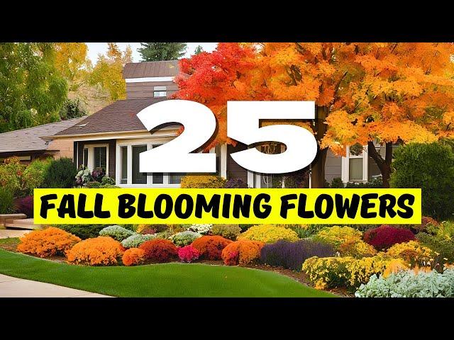  Top 25 BEST Fall Blooming Flowers for a Beautiful Autumn Garden! 