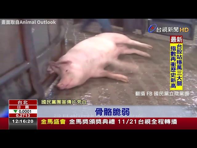 藍揭豬吃瘦肉精抽搐陳吉仲駁不實:回歸專業