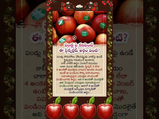 మంచిది || తెలుసుకోవలసినవి || Only Positive Words || Only Good Words