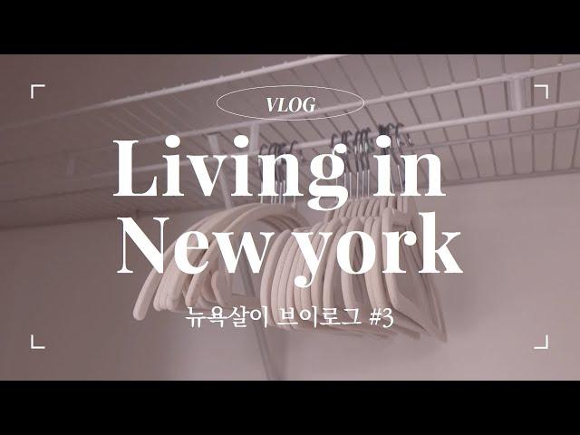 뉴욕살이vlog첫 출근/ 텅 빈 새집 입주/ 이삿짐 왜 안 와ㅠㅠ/ 겁에 질린 오레오/ 타임스퀘어 처치/ 센트럴 파크에서 베이글