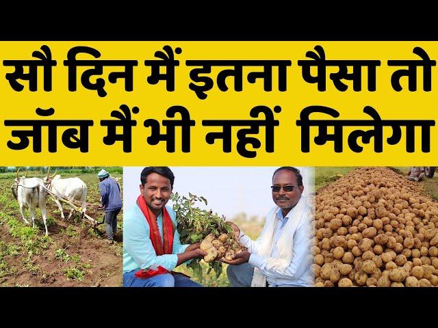 आलू की खेती कब और कैसे करेंPotato Farming Profit | आलू खेती का खर्चा, मुनाफा, खाद, बीज और रोग