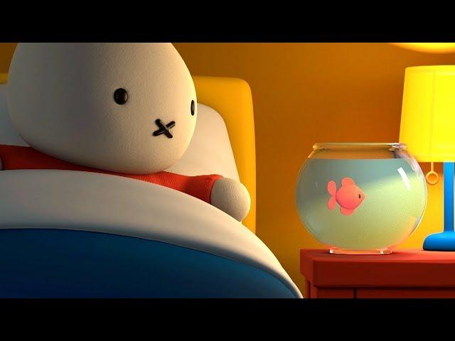 Miffy And The Goldfish! | Miffy | Best Of Miffy