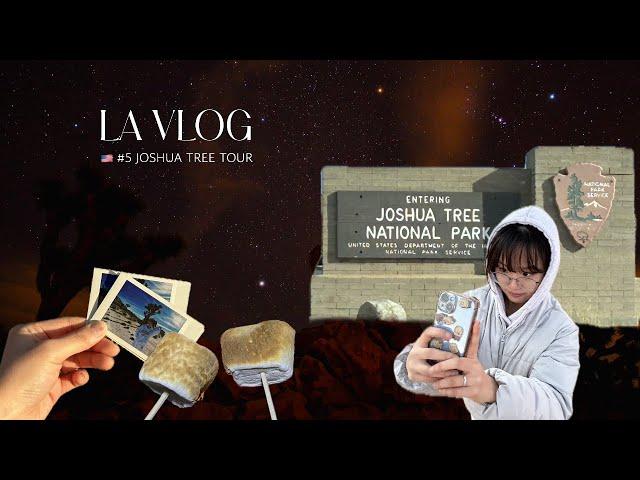 #5 조슈아트리 투어  | 조슈아트리에서 별보면서 캠핑하는 삶..|[ LA vlog ]