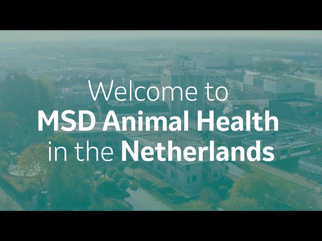 Welcome to MSD Animal Health in the Netherlands