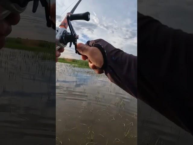 fishing =2.5kg