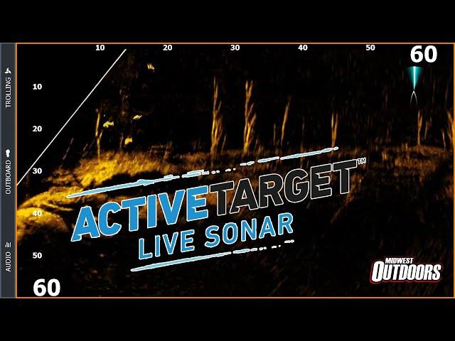 Lowrance Active Target Overview