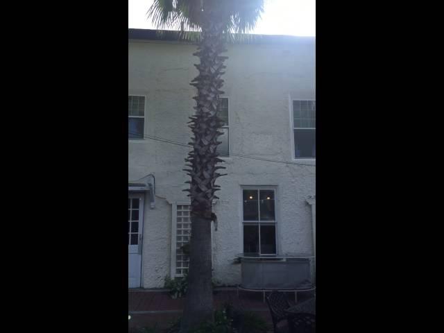 Cedar Key Historic Island Hotel