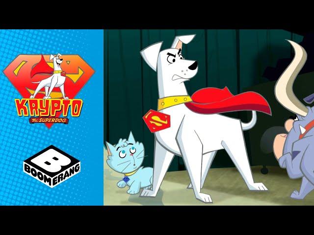 Krypto the Superdog | Gang of Alien Super-dogs | Boomerang UK