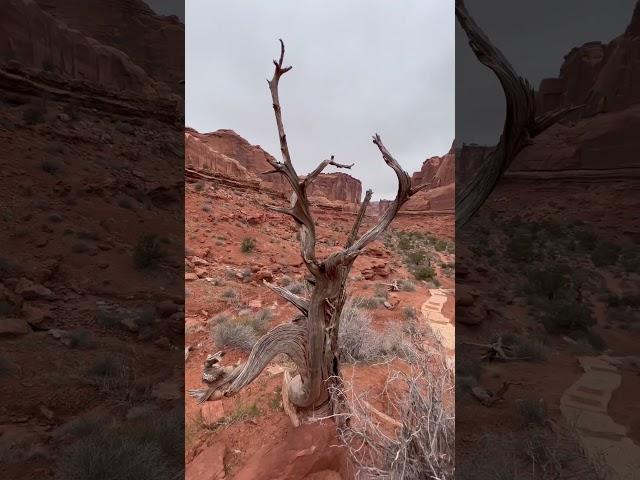 Park Avenue Trail at Arches National Park in Utah