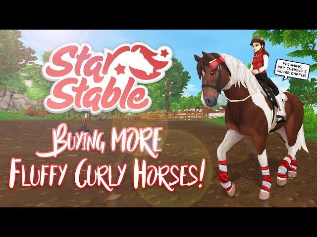 Buying MORE fluffy Curly horses! | Star Stable Updates