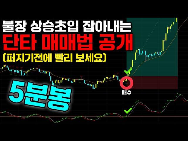 5분봉 러버를 위한 심플한데 심지어 개꿀팁인 단타매매법