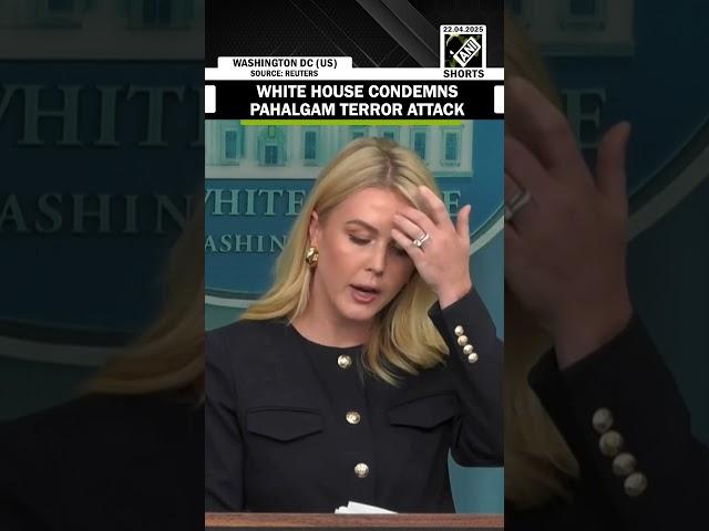 White House condemns Pahalgam terror attack, President Trump to speak with PM Modi