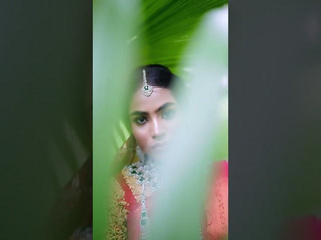 Bridal Blouse Designs | Same Day Delivery | Blouse Stitching in Chennai | 9677151395 | 7200515753