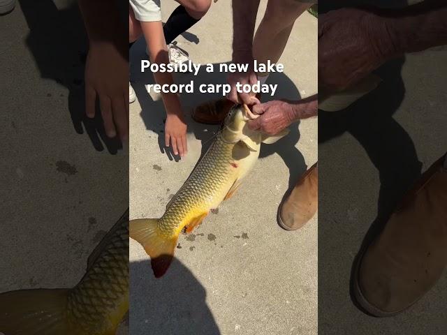 Giant Carp today on the worm #fishing #outdoors #record #viral #outdoorboys #flyfishing #fortnite