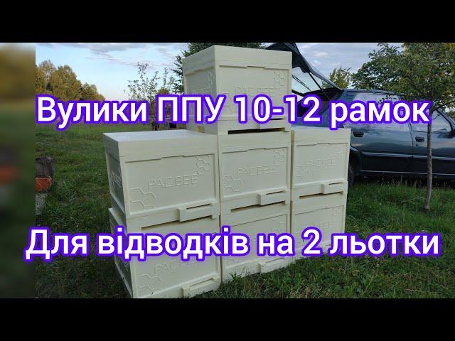 Вулики Ппу 10-12 рамок. Вулики для відводків на 2 льотка. Новинка повний огляд