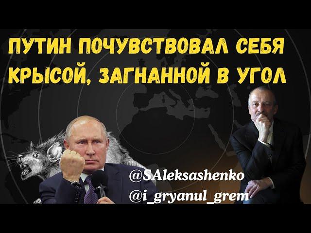 Путин почувствовал себя крысой, загнанной в угол @i_gryanul_grem