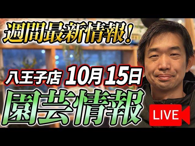 【最新情報】10月15日 グリーンギャラリーガーデンズ入荷情報を一挙公開！【特別版】