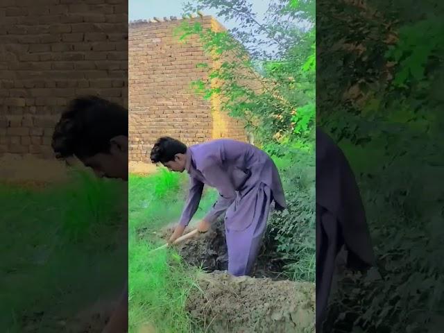 Pind da mahool #pind #pindaaaly #pindaaaly