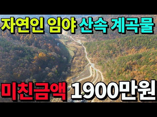 산속 계곡물철철~자연인 임야매매~몽땅1900만원 미친가격 전기인입가능~묘터 또는임산물채취 투자용~ 경북 의성 임야매매 -세상사는 부동산-