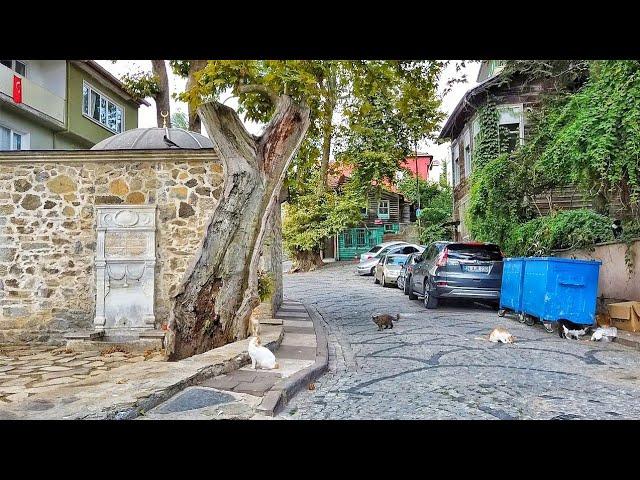 Istanbul Walk in Çengelköy, Istanbul | Ottoman Style House Search