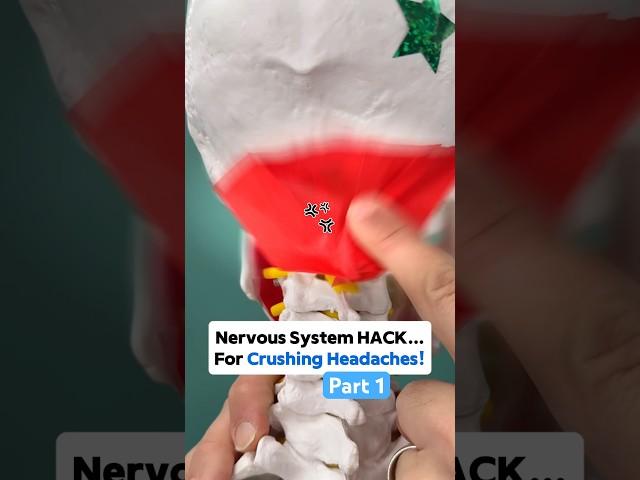 Part 1 — HACK your Nervous System to overcome crushing Headaches! #headache #headacherelief #tmj
