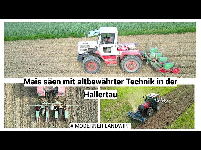 Mais säen mit altbewährter Technik in der Hallertau / MB Trac 800 / Hassia / Valtra