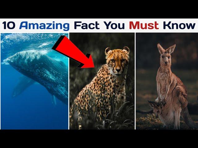 10 Amazing Animal Facts you must know | Animal Facts | Wisdom Waves