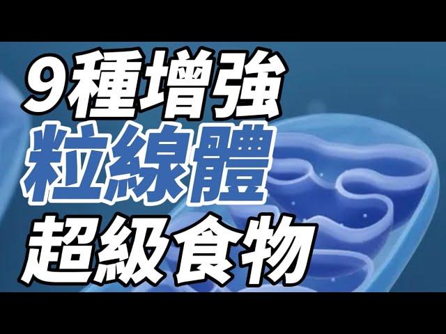 9種增強粒線體的超級食物 #減肥 #減重 #減重瘦身 #維營養科學家 #瘦身 #瘦身減肥 #健康 #減脂