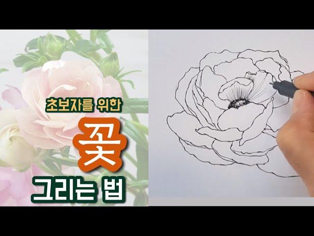 Drawing flowers for beginners (self-study/basic drawing/how to draw well/ drawing flowers-1)