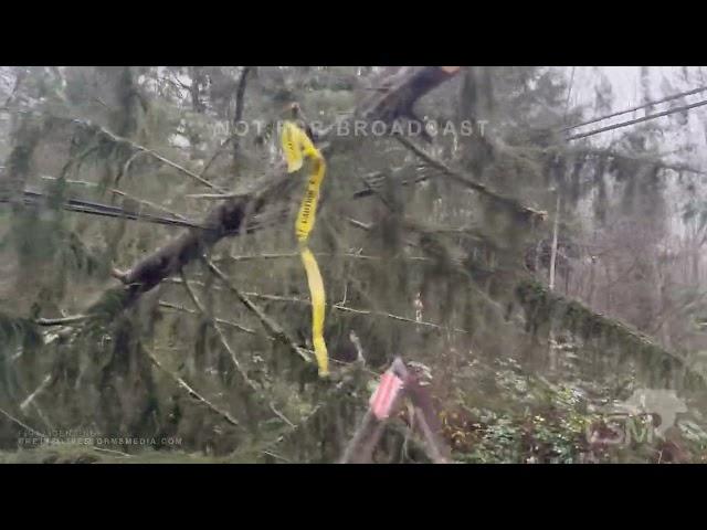 11-24-2024 Snohomish, WA  - Forest Flattened by Mountain Wave Gust